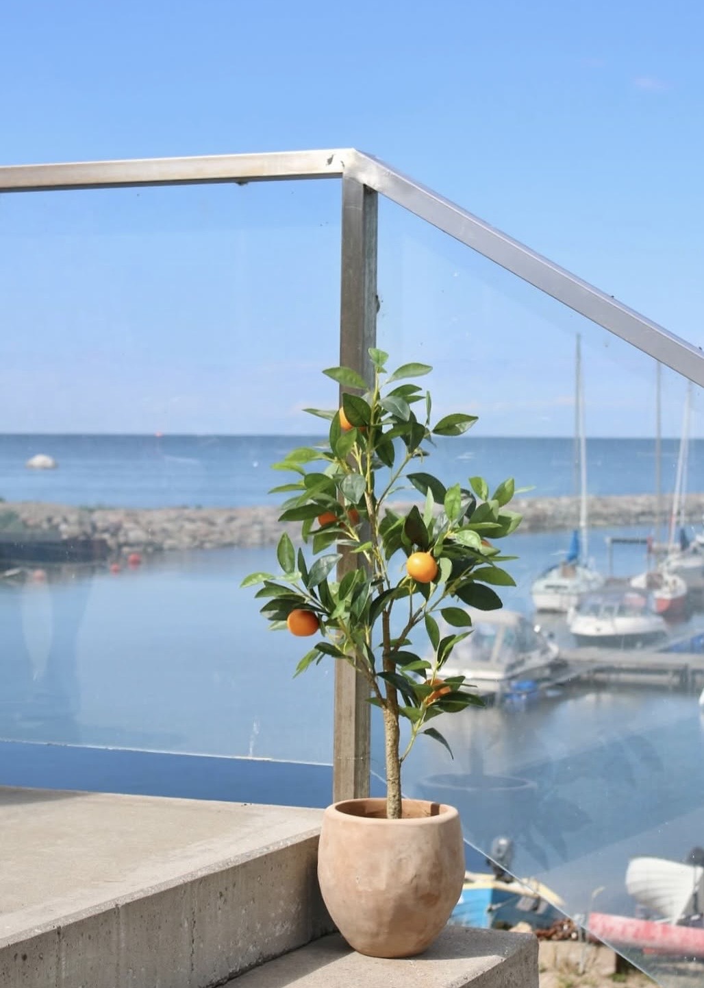 sidrunipuu.jpeg (194 KB)